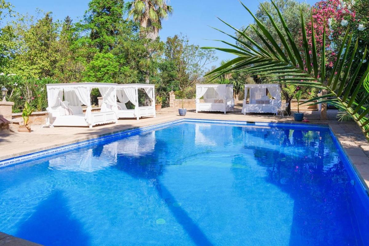 Llorenc 2, Ruhe Und Chillen, Xxl Pool Apartment Manacor (Mallorca)